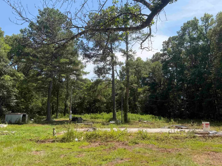 7340 E STATE HWY 154, Gilmer, TX 75645 - #3