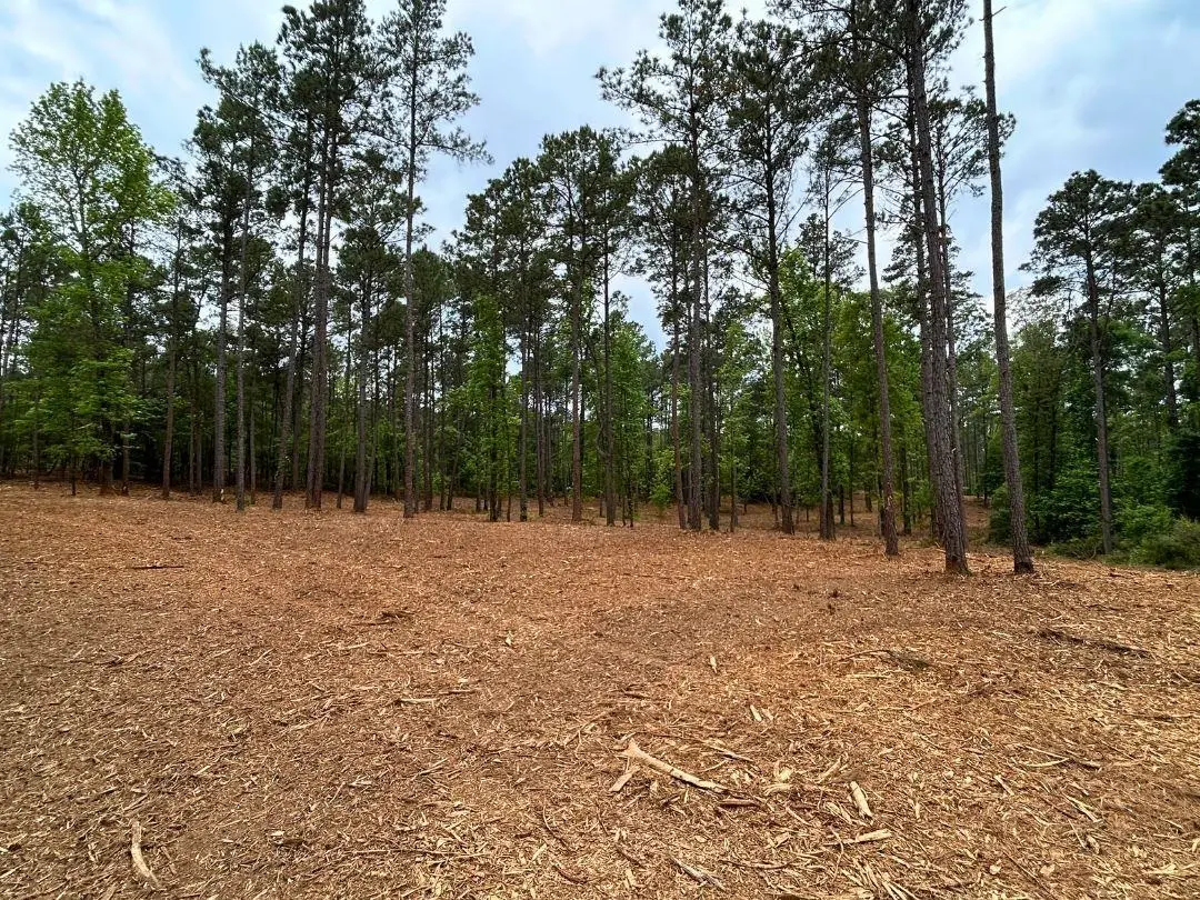 0 Harkins Ln., Marshall, TX 75672-0000 - #1