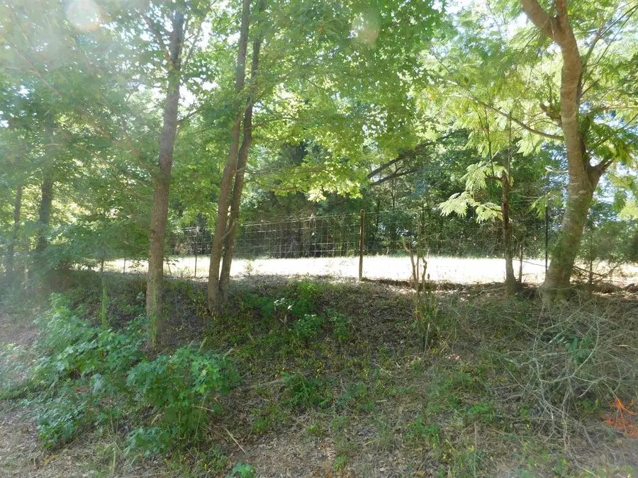 3030 RABBIT RD, Gilmer, TX 75644 - #2