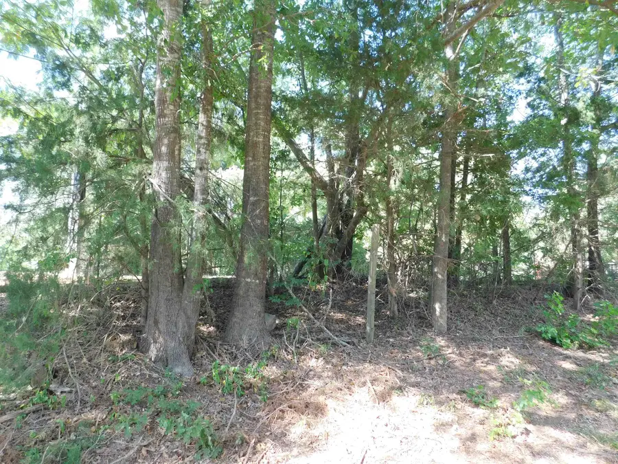 3030 RABBIT RD, Gilmer, TX 75644 - #3