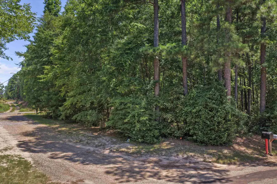 TBD CR 2177 E, Tatum, TX 75691 - #2