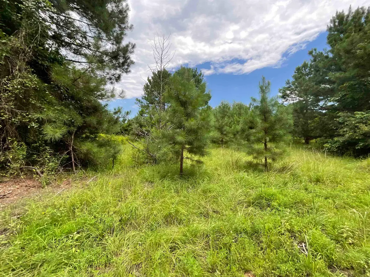 239 Holly Lane, Jefferson, TX 75657 - #1