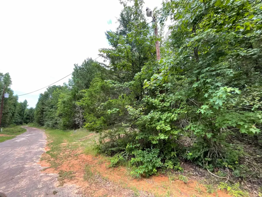 239 Holly Lane, Jefferson, TX 75657 - #3