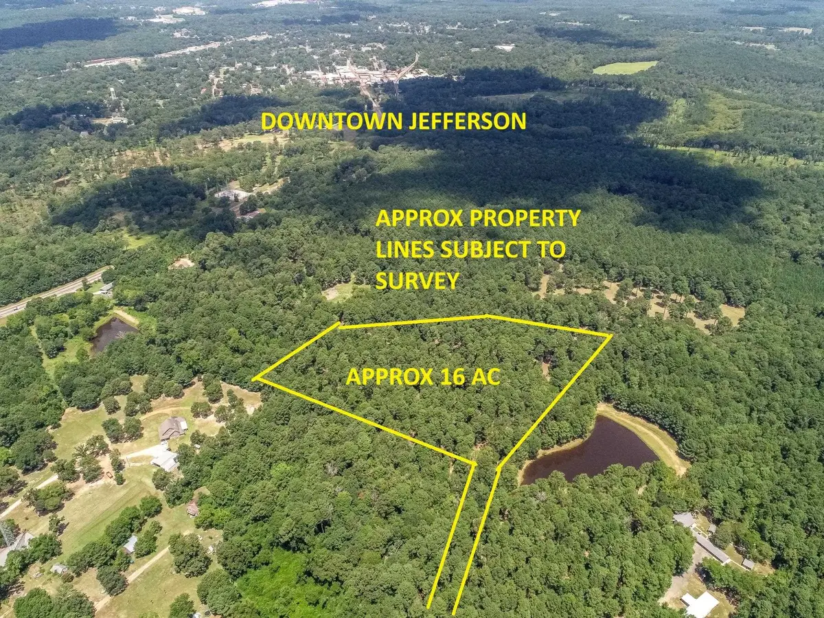 16.5 AC FM 134, Jefferson, TX 75657 - #1