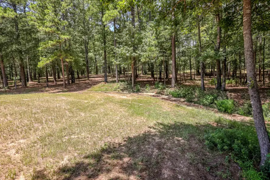 16.5 AC FM 134, Jefferson, TX 75657 - #2