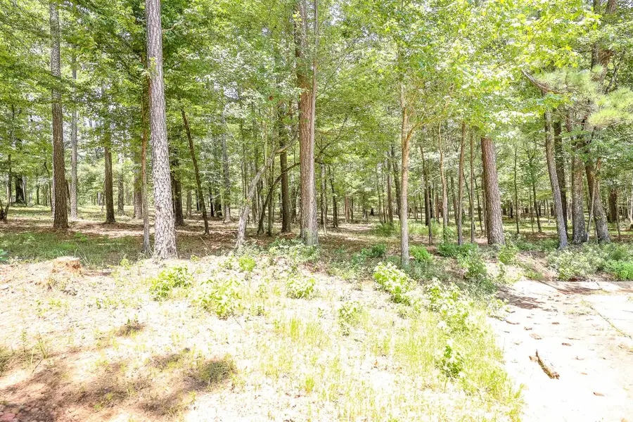 16.5 AC FM 134, Jefferson, TX 75657 - #3