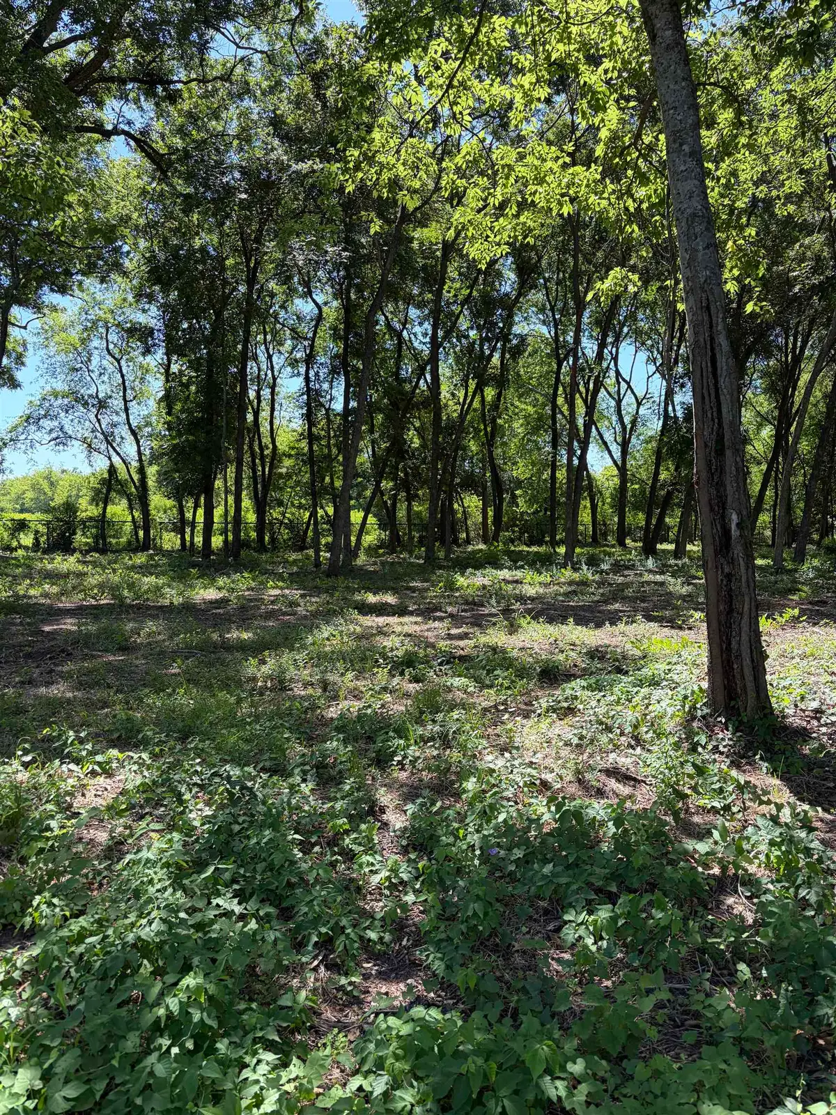 TBD FM 1970, Carthage, TX 75633 - #1
