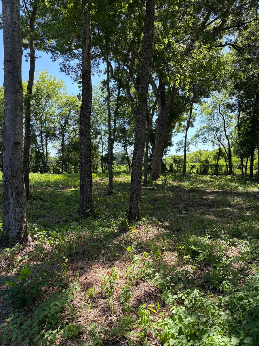 TBD FM 1970, Carthage, TX 75633 - #2