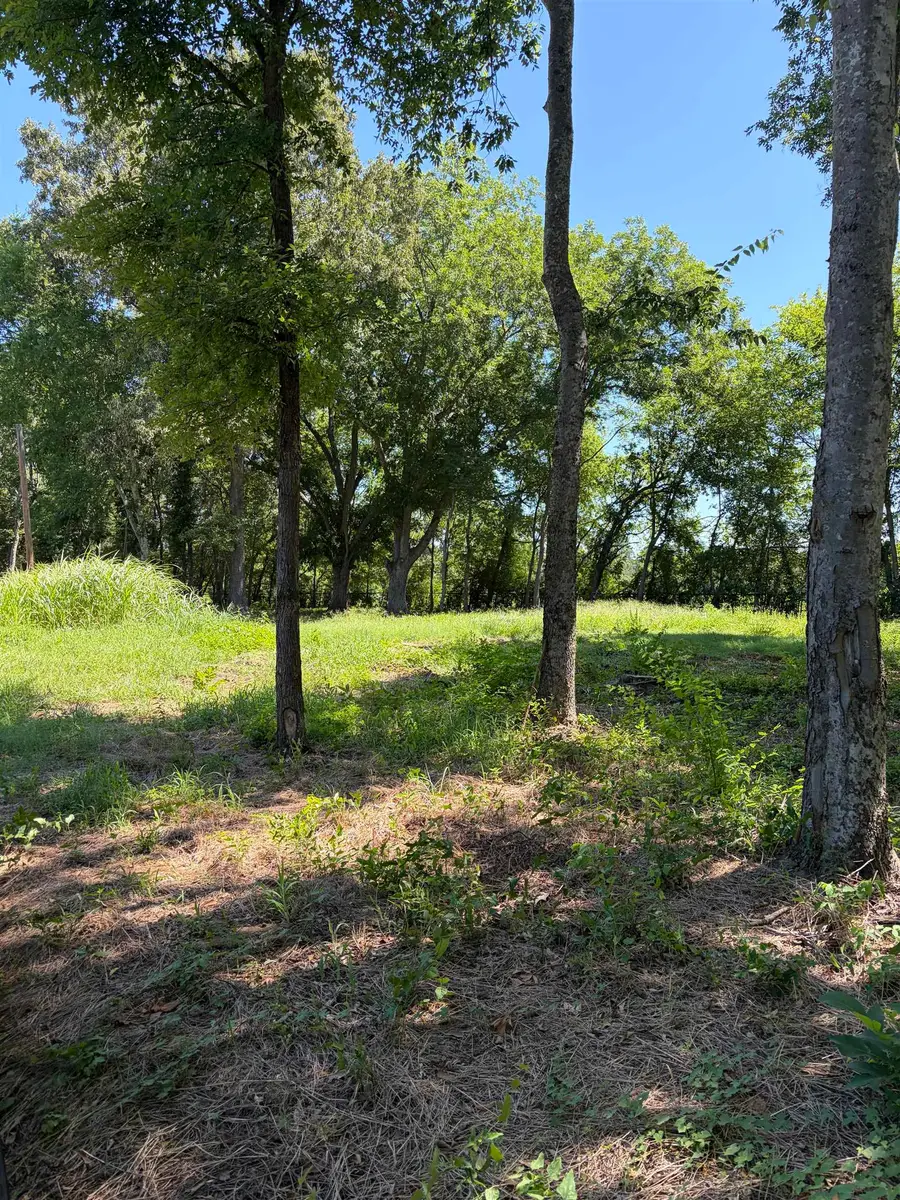 TBD FM 1970, Carthage, TX 75633 - #3