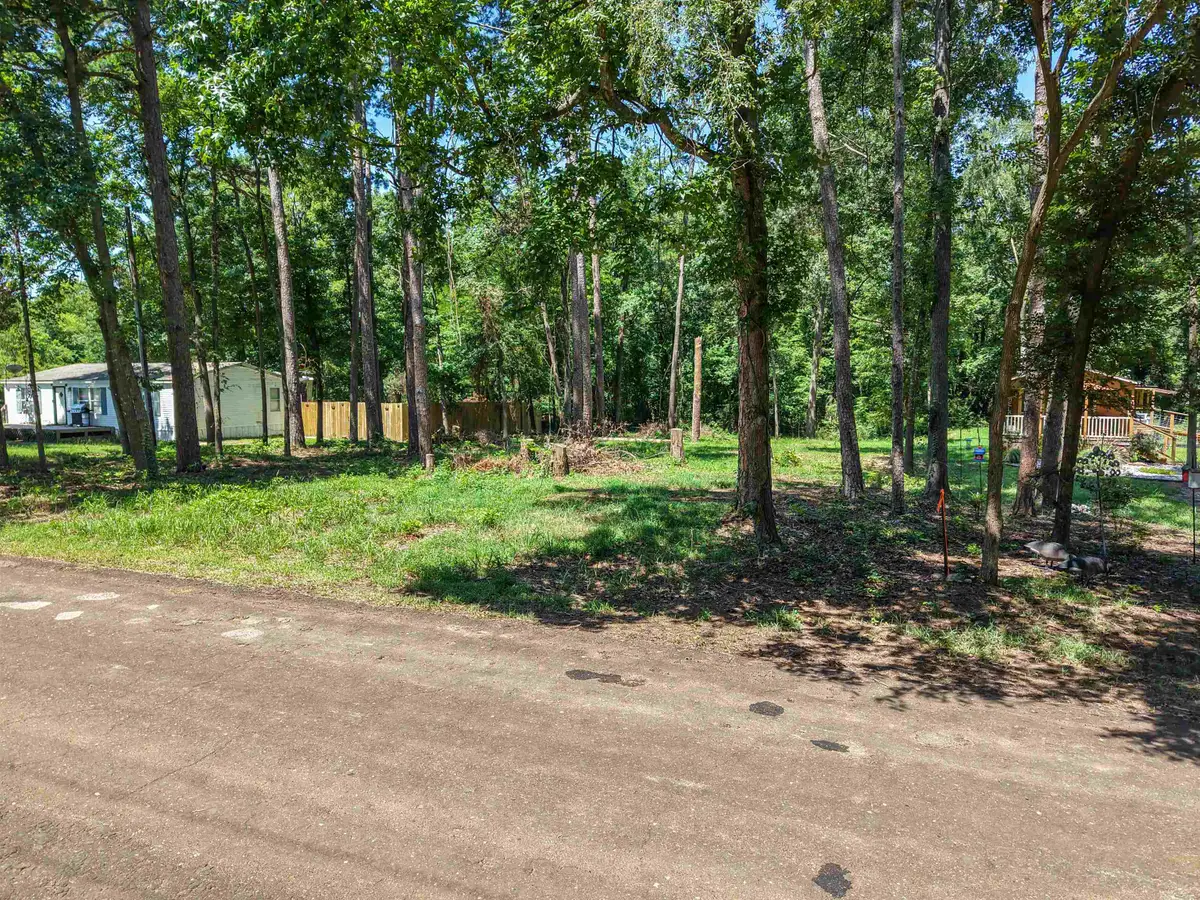 TBD County Road 2603, Pittsburg, TX 75686 - #1