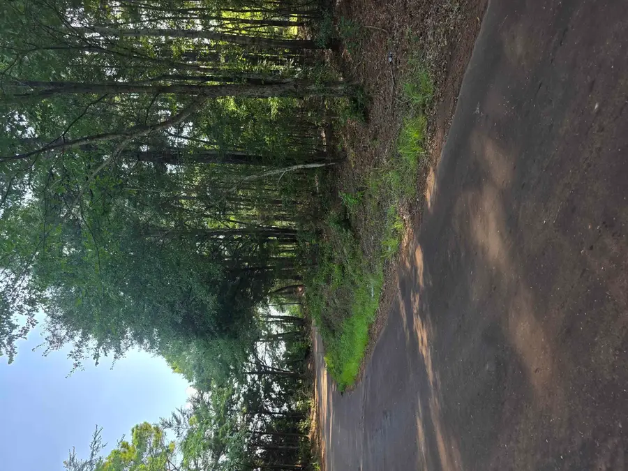 3259 S CR 246, Tyler, TX 75705 - #3