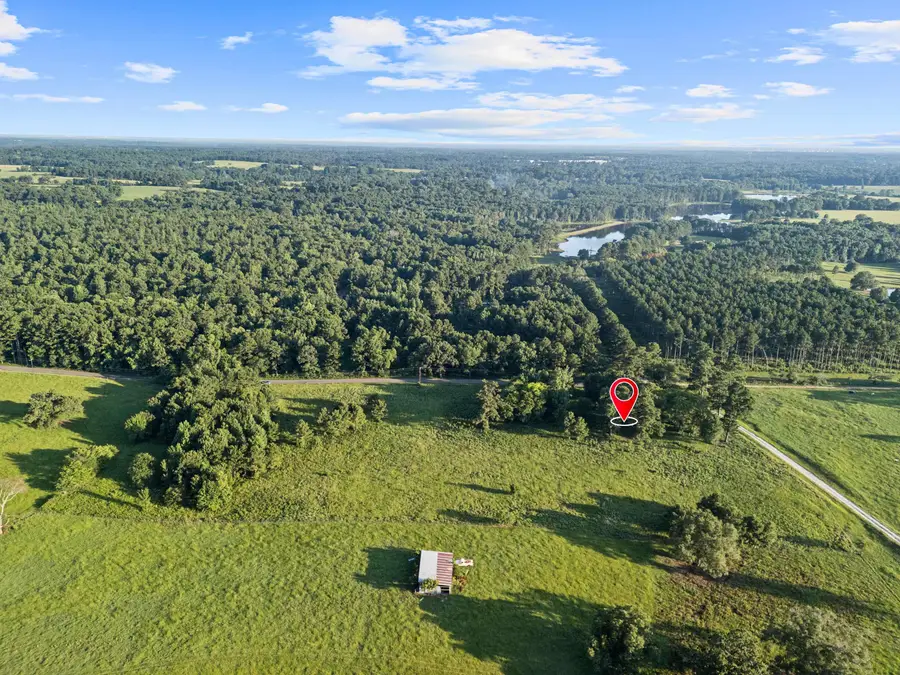 6365 Peter Bonner Rd., Hallsville, TX 75650 - #3
