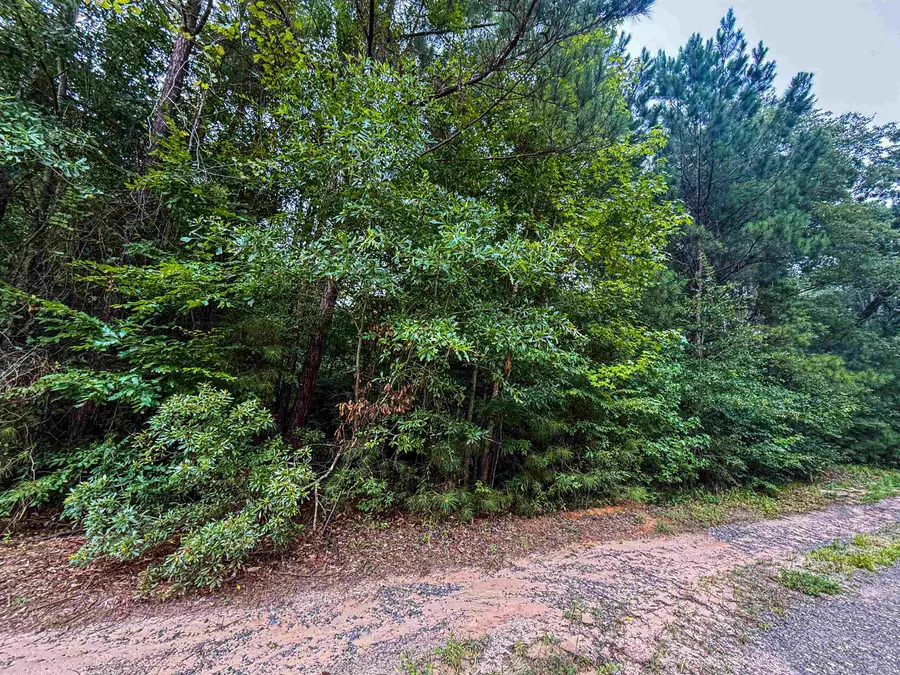 TBD SEQUOIA DR, Harleton, TX 75651 - #3