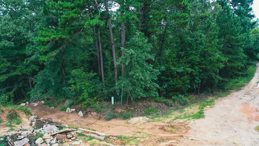 TBD HICKORY DR, Harleton, TX 75651 - #2