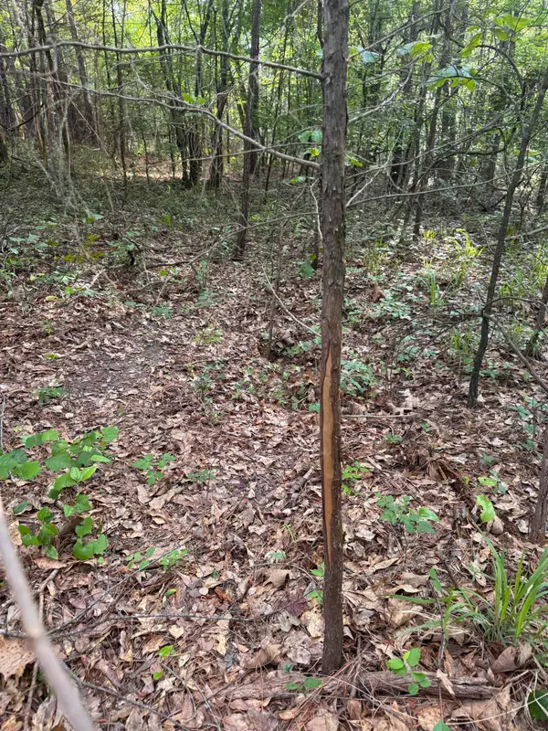 1885 County Rd 2342, Marietta, TX 75566