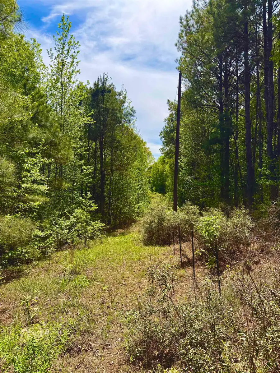 TBD FM Rd 125, McLeod, TX 75565 - #3