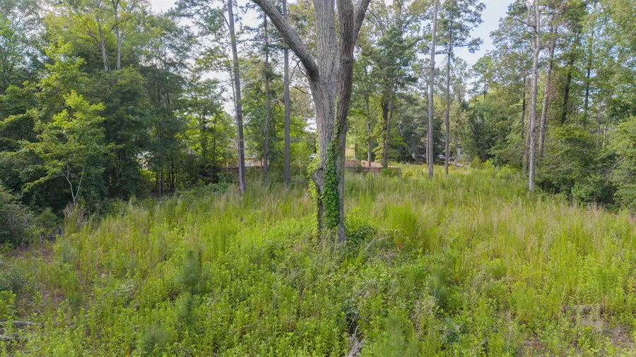 411 & 428 Forestwood, Gilmer, TX 75645 - #3