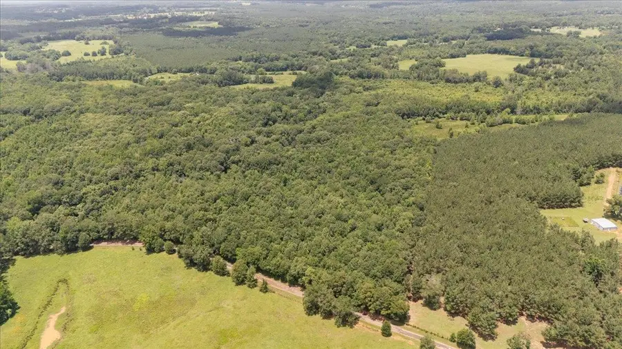 TBD 38.110 ac CR 3206, Mount Enterprise, TX 75681 - #2