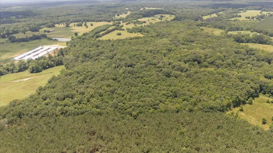 TBD 38.110 ac CR 3206, Mount Enterprise, TX 75681 - #3