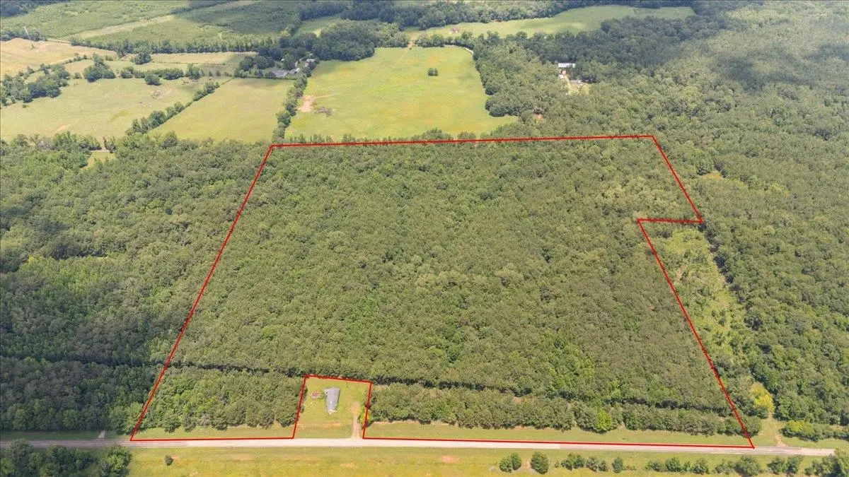 TBD 50.795 ac FM 2496, Mount Enterprise, TX 75681 - #1