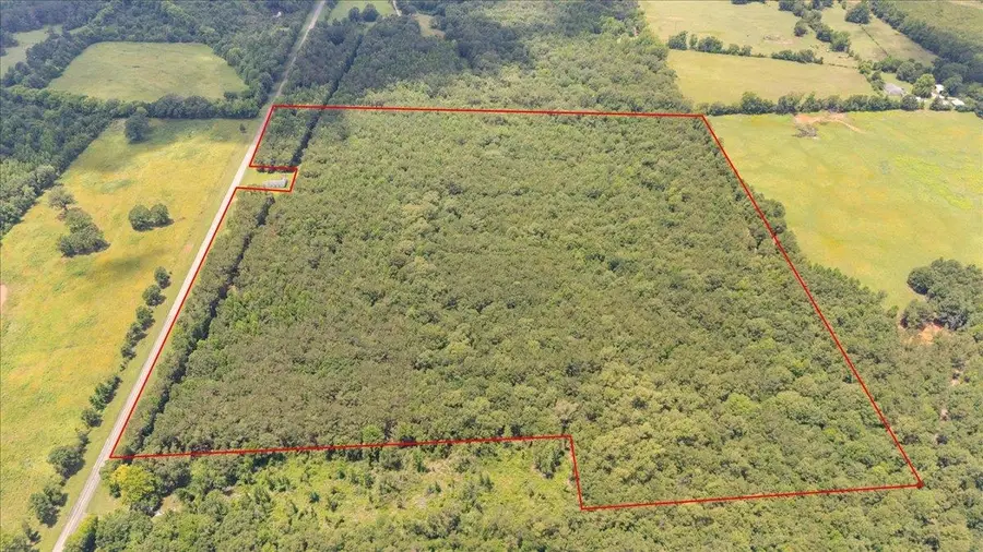 TBD 50.795 ac FM 2496, Mount Enterprise, TX 75681 - #2