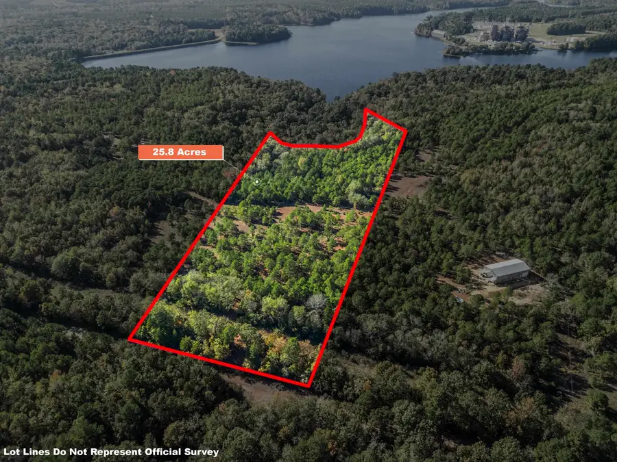 1512 Victory School Road, Avinger, TX 75657 - #2