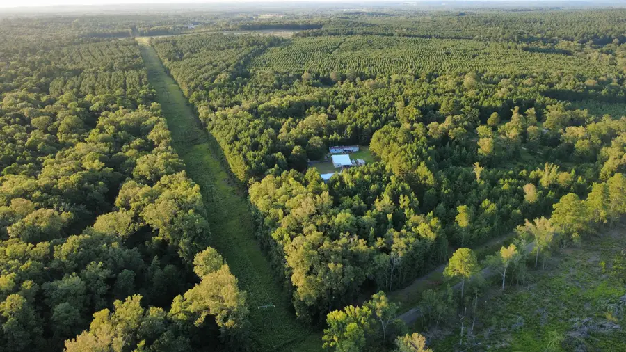 TBD Driskell Bridge Rd, Harleton, TX 75651 - #2