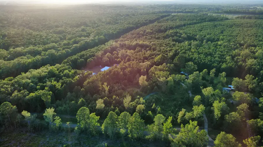 TBD Driskell Bridge Rd, Harleton, TX 75651 - #3