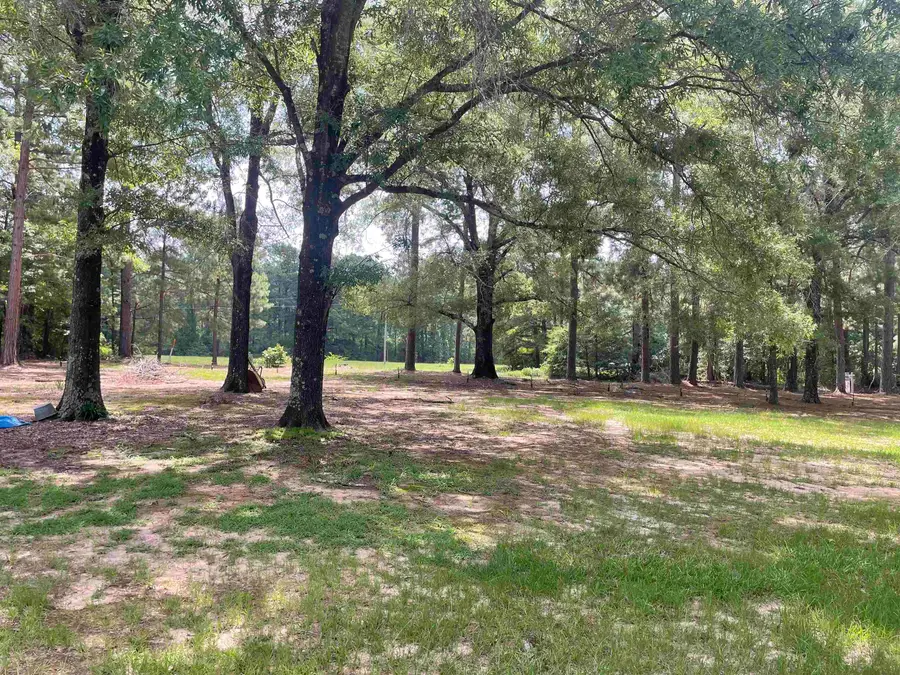 3655 E FM 249, Bloomburg, TX 75556 - #2