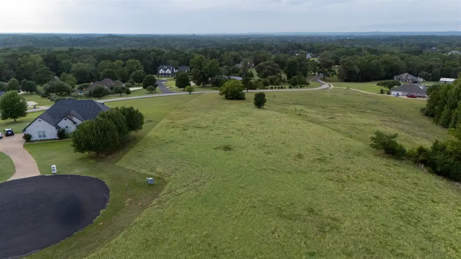 TBD Timberlake Ranch Rd, Hallsville, TX 75650 - #2