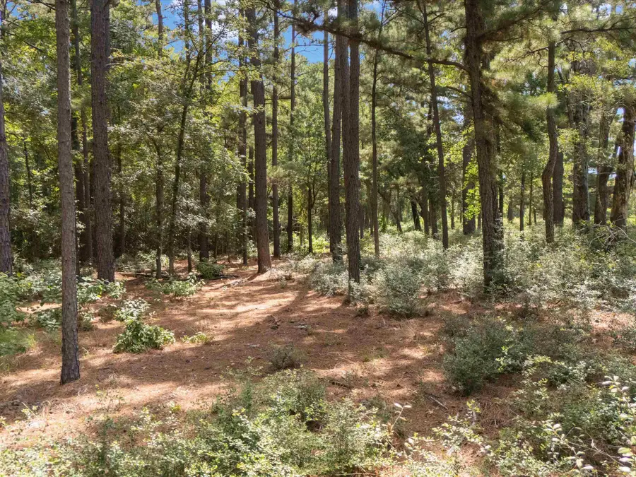 Tract 4 Fm 1002, Big Sandy, TX 75755 - #3