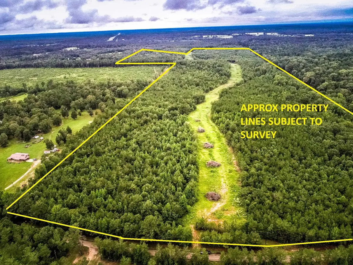 150 AC COUNTY ROAD 433, Carthage, TX 75633 - #1