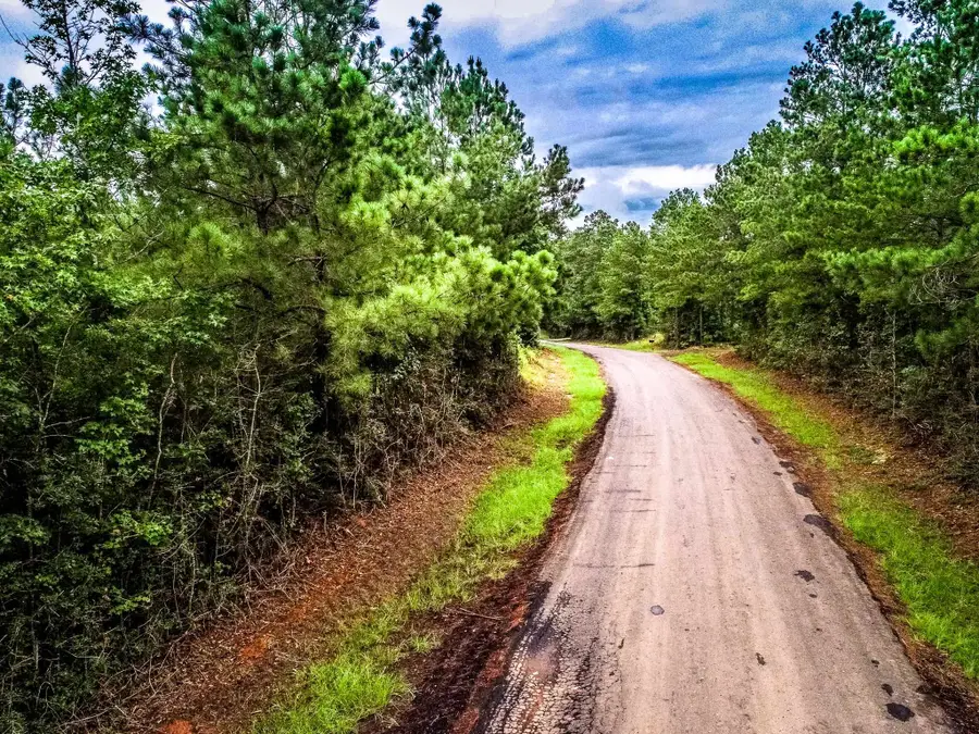 150 AC COUNTY ROAD 433, Carthage, TX 75633 - #2