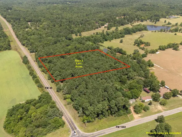 Tract 3 Fm 49, Big Sandy, TX 75755