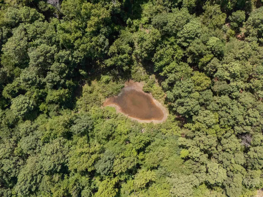 Tract 3 Fm 49, Big Sandy, TX 75755 - #3