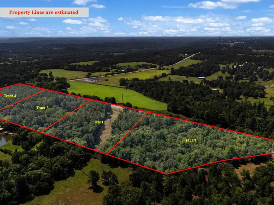 Tract 2 Fm 49, Big Sandy, TX 75755 - #3