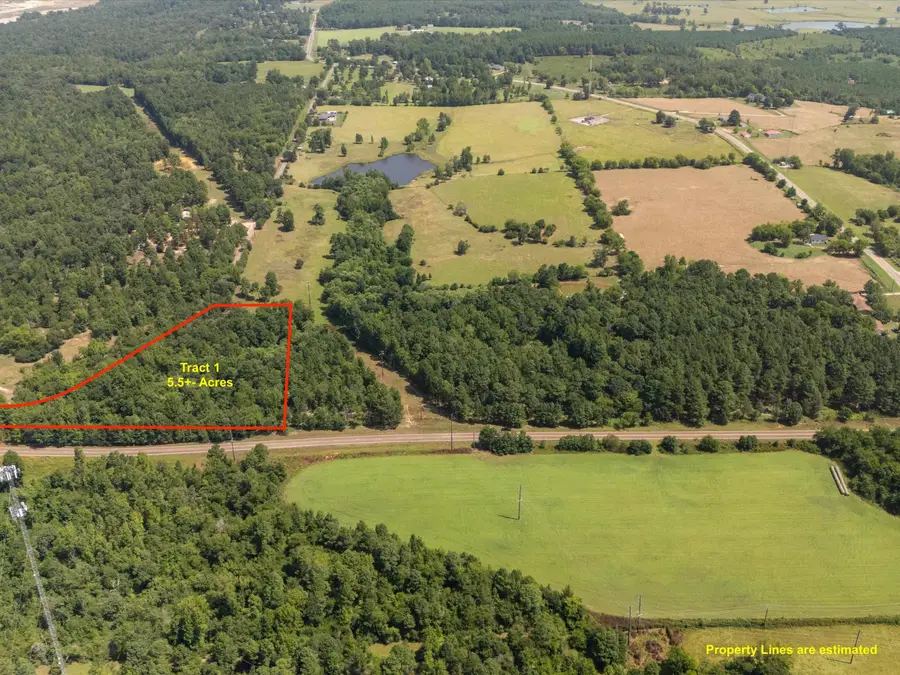 Tract 1 Slash pine, Big Sandy, TX 75755 - #2