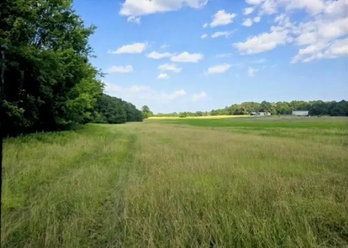 39 ac N FM 2276, Henderson, TX 75652 - #1
