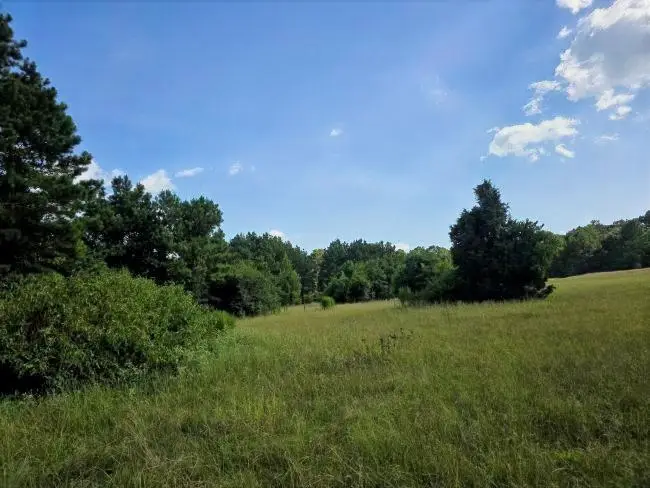 39 ac N FM 2276, Henderson, TX 75652 - #2