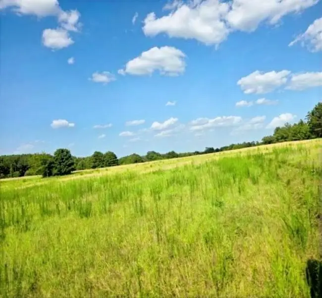 39 ac N FM 2276, Henderson, TX 75652 - #3