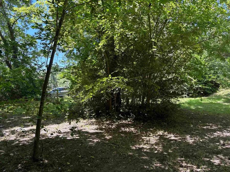 305 E Madison St, Overton, TX 75684 - #2