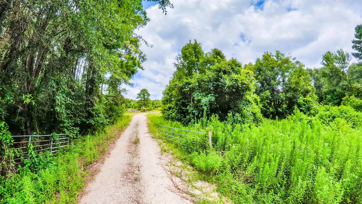TBD County Road 307, De Berry, TX 75639 - #1