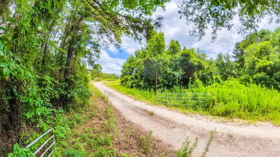 TBD County Road 307, De Berry, TX 75639 - #2