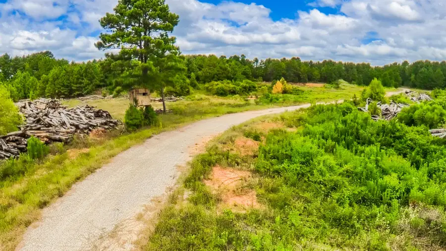 TBD County Road 307, De Berry, TX 75639 - #3