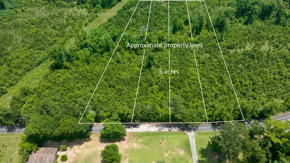 TBD Sparrow Rd., Diana, TX 75640 - #1
