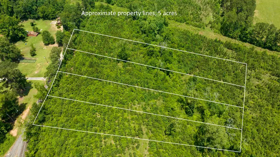 TBD Sparrow Rd., Diana, TX 75640 - #2