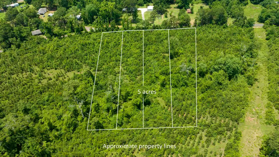 TBD Sparrow Rd., Diana, TX 75640 - #3