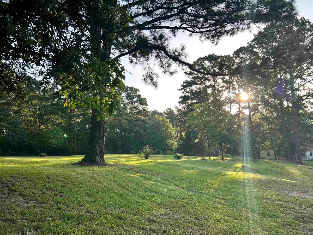 3624 CR 146 W, Overton, TX 75684 - #1