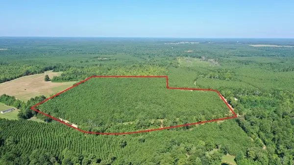 0000 County Road 1619, Linden, TX 75563