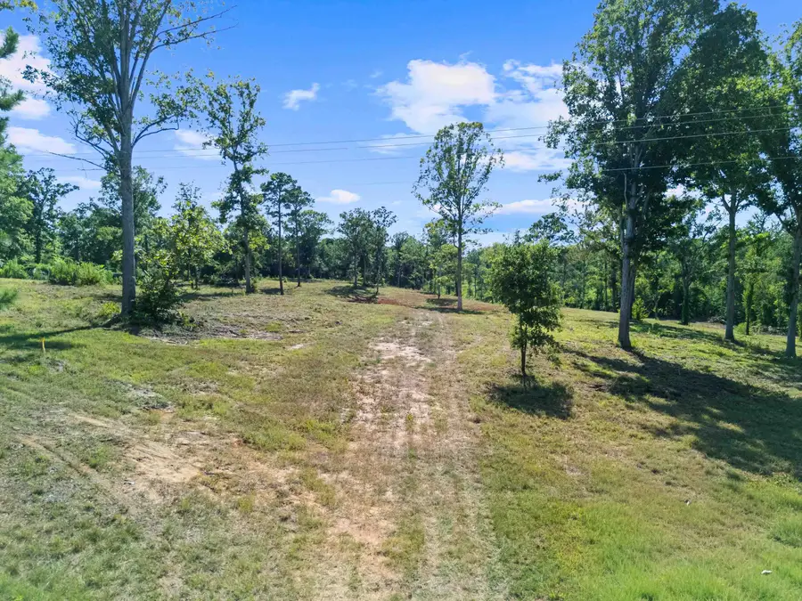TBD Hwy 259, Ore City, TX 75683-0000 - #2